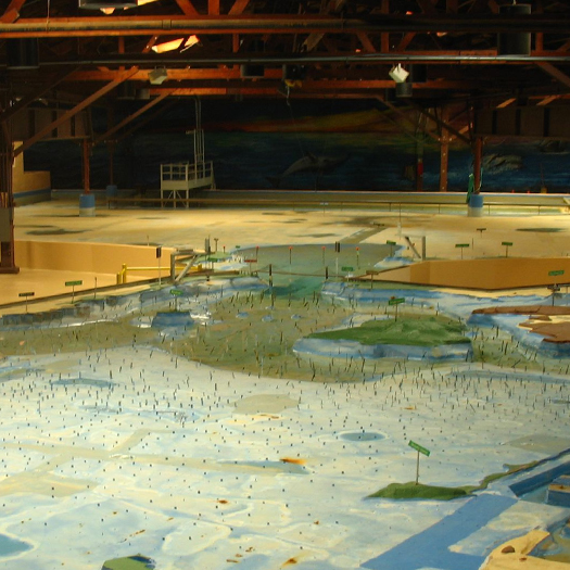 The San Francisco Bay Model